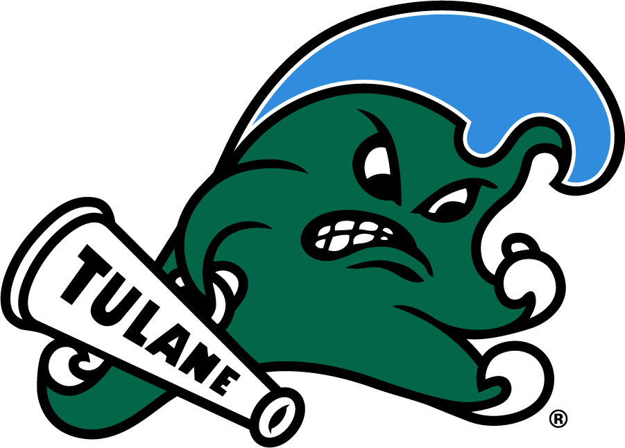 Tulane Green Wave 2017-Pres Primary Logo DIY iron on transfer (heat transfer)